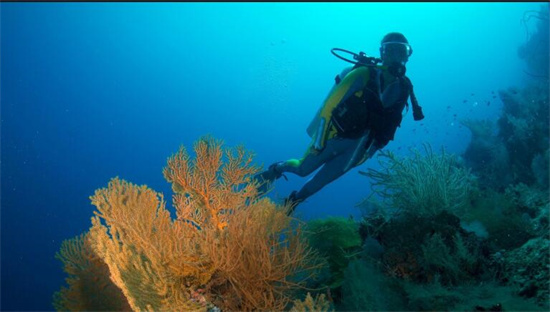 去菲律宾考潜水证需要几天(潜水证考取时间详解)