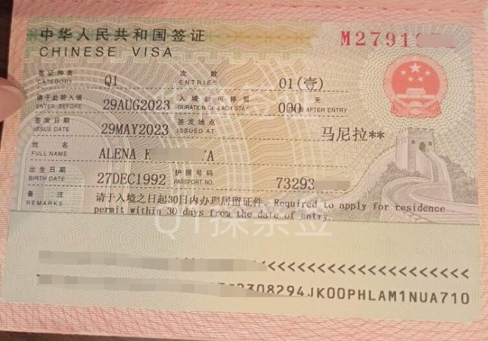 中国q1签证申请表