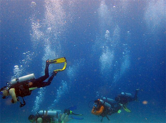 菲律宾最好的潜水胜地是哪(潜水最新指南)