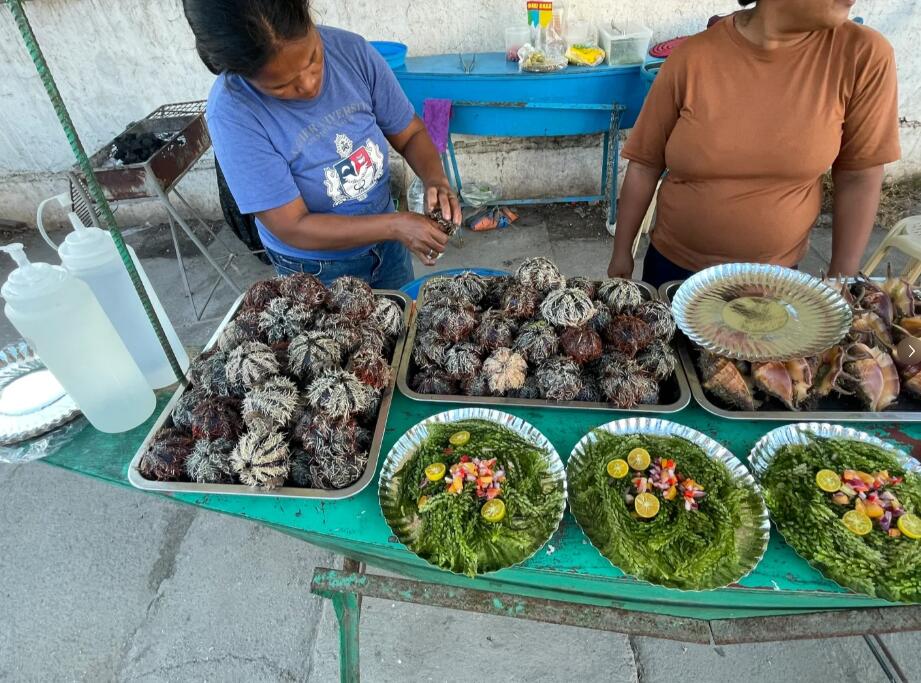 菲律宾薄荷岛河边海鲜贵吗(薄荷岛美食推荐)