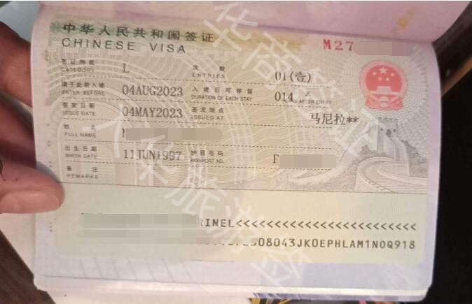 中国签证类型L