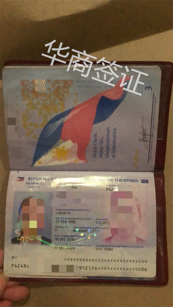 申请护照需要哪些材料