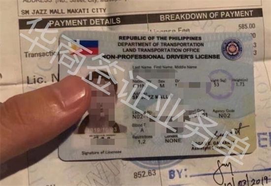 菲律宾能办个驾照吗(驾照办理教程)