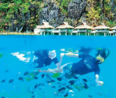 菲律宾潜水地点的介绍