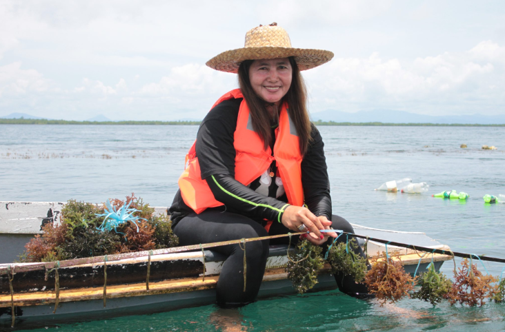 菲律宾DA支持海藻产业重新夺回世界第一的位置